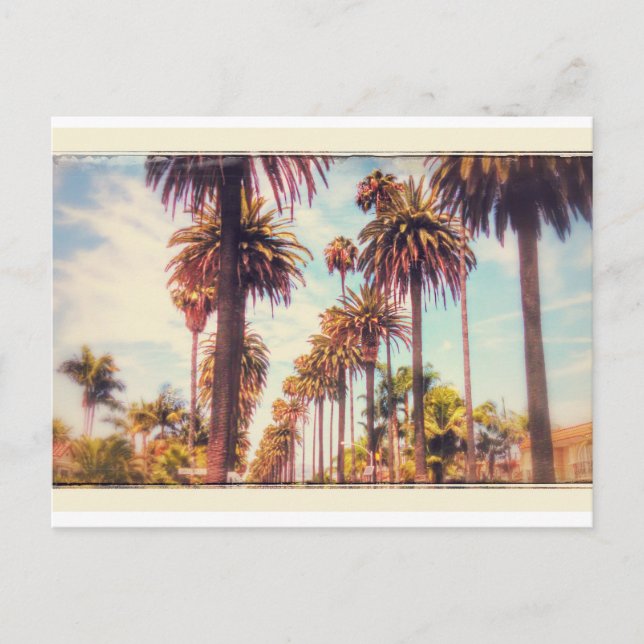 Vintage Palm Tree Postkarte (Vorderseite)