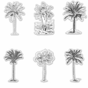 Vintage Palmbaumskizzen Aufkleber
