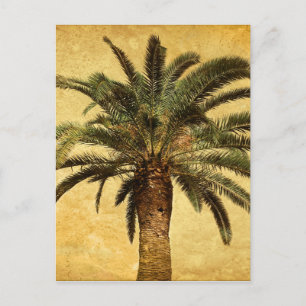 Vintage-Palme - Tropische individualisierte Vorlag Postkarte