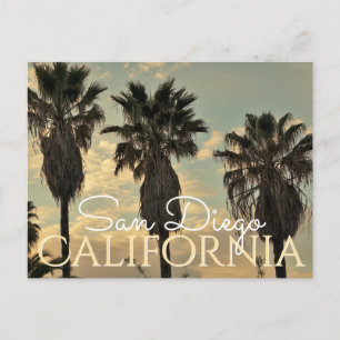 Vintage Palmen Bäume San Diego Postkarte