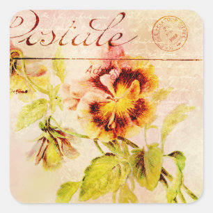 Vintage Pansy Blume Postkarte Quadratischer Aufkleber