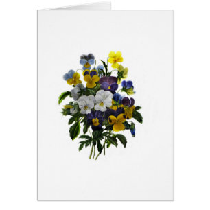 Vintage Pansy Botanische Schrift