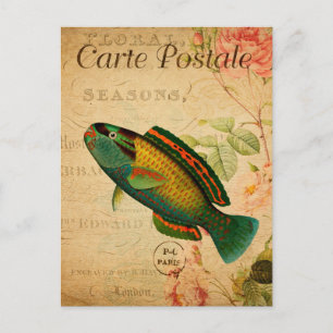 Vintage Papageifisch Blumen Französisch Postkarte
