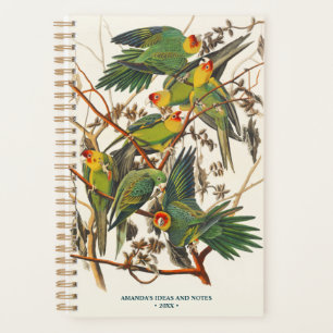 Vintage Parrots-Illustration Bird Lover Gift Planer