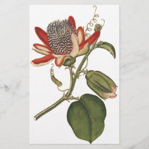 Vintage Passion-Blume Briefpapier