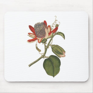 Vintage Passion-Blume Mousepad