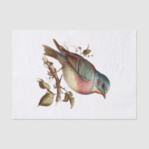 Vintage Pastel Bird Art Decoupage