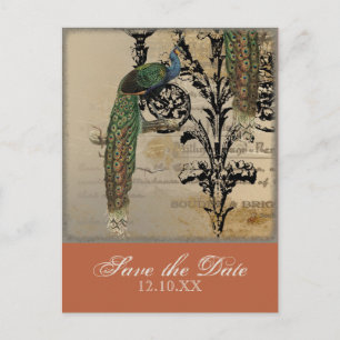 Vintage Peacock 6 - Save the Date Postkarten