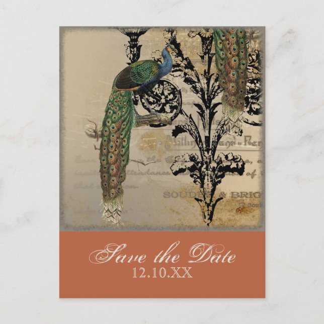 Vintage Peacock 6 - Save the Date Postkarten (Vorderseite)