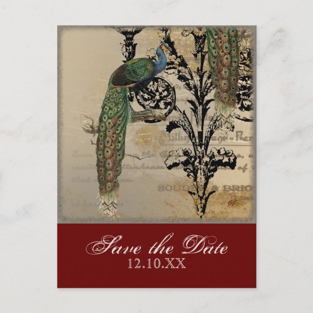 Vintage Peacock 6 - Save the Date Postkarten (Vorderseite)