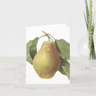 Vintage Pear...notecard Karte