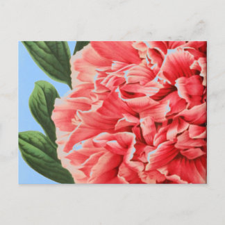 Vintage Peonie / Vintage Pfingstrose Postkarte