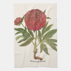 Vintage Peonies, Peony-Blume von Basilius Besler Geschirrtuch