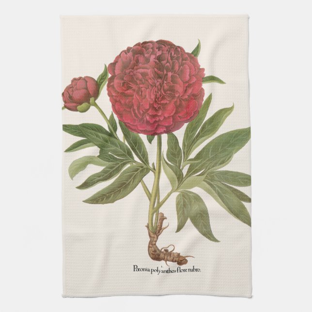 Vintage Peonies, Peony-Blume von Basilius Besler Geschirrtuch (Vertikal)