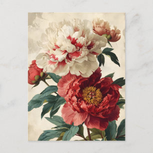 Vintage Peonies Postkarte
