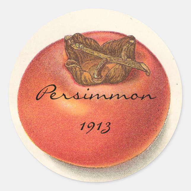 Vintage Persimmon-Aufkleber Runder Aufkleber (Vorderseite)