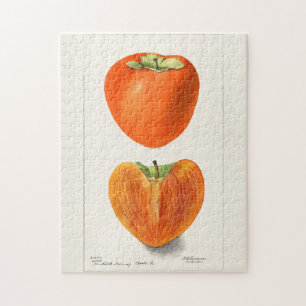Vintage Persimmons Fruchtsaftfarbe Puzzle