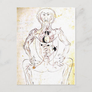 Vintage persische medizinische vordere Anatomie Postkarte