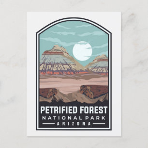 Vintage Petrified Forest Nationalpark Arizona Postkarte