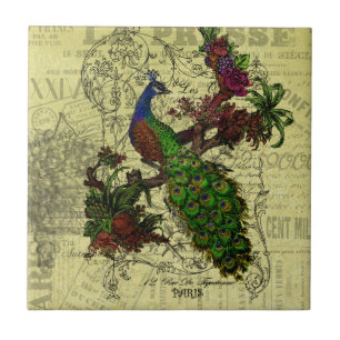 Vintage Pfau auf Ast Bekleidung und Geschenke Fliese