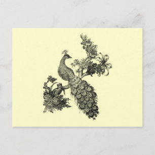Vintage Pfau auf Ast T-Shirts und Geschenke Postkarte