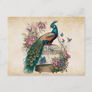 Vintage Pfau auf Vogelkäfig viktorianisch Postkarte