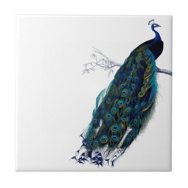 Vintage Pfau Fliese (Vorderseite)