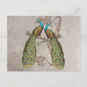 Vintage Pfau Grunge Damast Liebesvögel Postkarte
