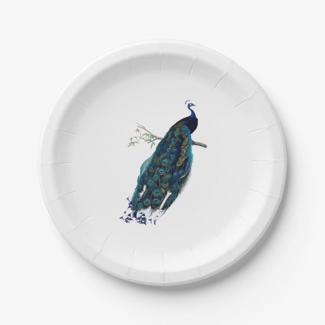 Vintage Pfau-Illustration Pappteller (Vorderseite)