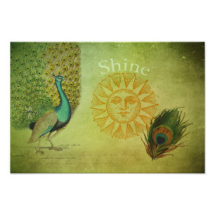 Vintage Pfau-Kunst-Collage Fotodruck