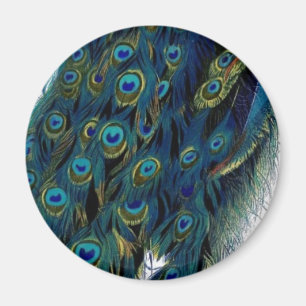 Vintage Pfau Magnet