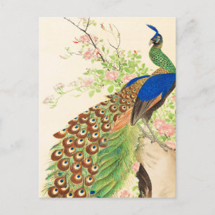 Vintage Pfau- und Blume-Malerei Postkarte