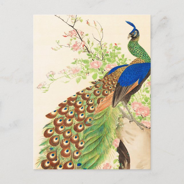 Vintage Pfau- und Blume-Malerei Postkarte (Vorderseite)