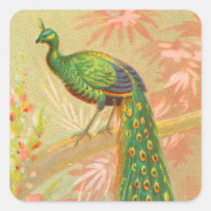 Vintage Pfau- und Blume-Malerei Quadratischer Aufkleber