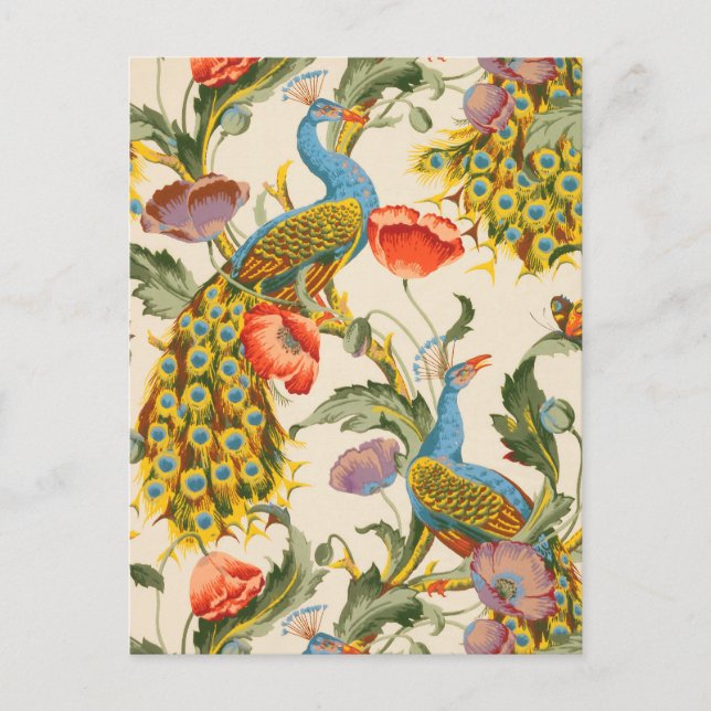 Vintage Pfau- und Mohndarstellungen Postkarte (Vorderseite)