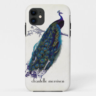 Vintage Pfau Vollfedern auf zerrissenem Spitzenmus Case-Mate iPhone Hülle