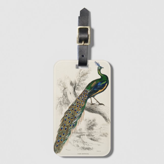 Vintage Pfauengeschichte Gepäckanhänger (Vorderseite Vertikal)