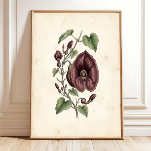 Vintage-Pfeifenwinde-Galerie-Wandkunst-Druck Poster