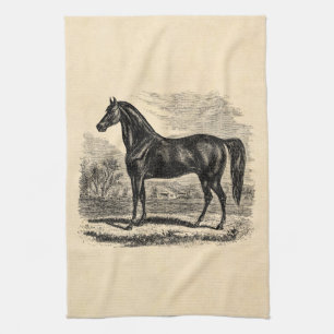 Vintage-Pferd aus dem 19. Jahrhundert - Morgan-Rei Geschirrtuch