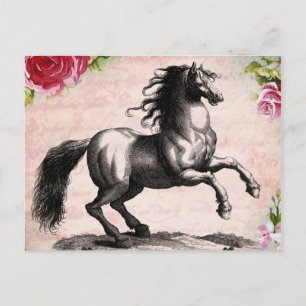 Vintage-Pferde-Illustration Postkarte
