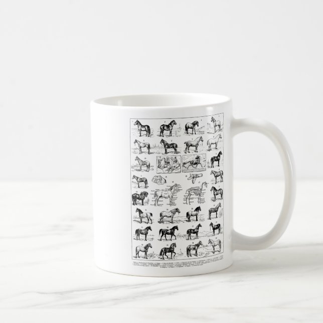 Vintage Pferdearten Pferderasse Ridi Kaffeetasse (Rechts)