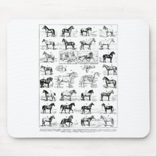 Vintage Pferdearten Pferderasse Ridi Mousepad