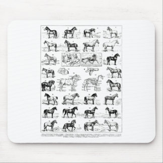 Vintage Pferdearten Pferderasse Ridi Mousepad