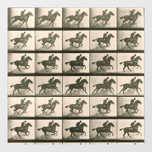 Vintage Pferdefotografie Fensteraufkleber