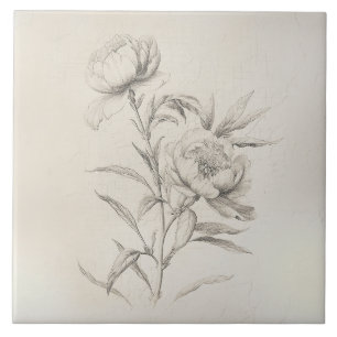 Vintage Pfingstrose 3 Botanisches Dekoratives Tile Fliese