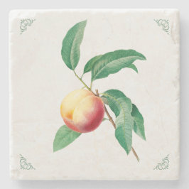 Vintage Pfirsich-Frucht-Illustration Steinuntersetzer