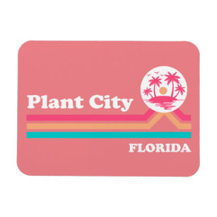 Vintage Pflanze Florida Magnet