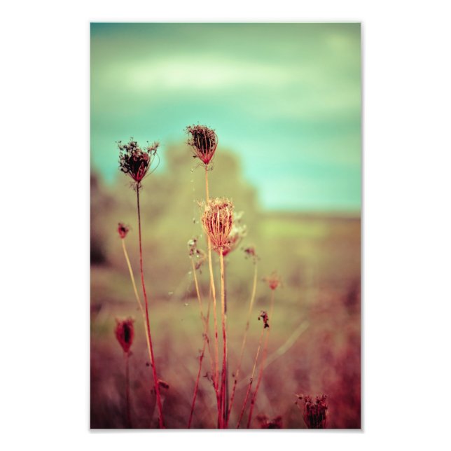 Vintage Pflanze Fotodruck (Vorne)