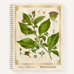 Vintage Pflanze Nightshade Belladonna Herb Notizbuch