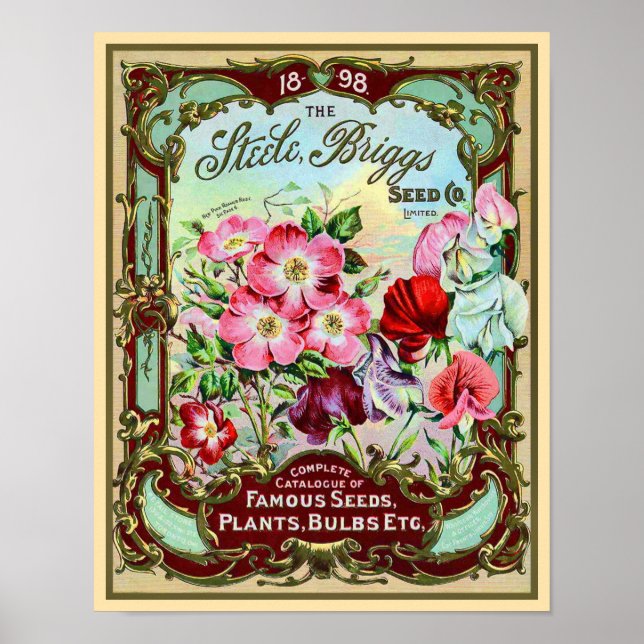 Vintage Pflanze von Saatgut und Bulben Poster (Vorne)